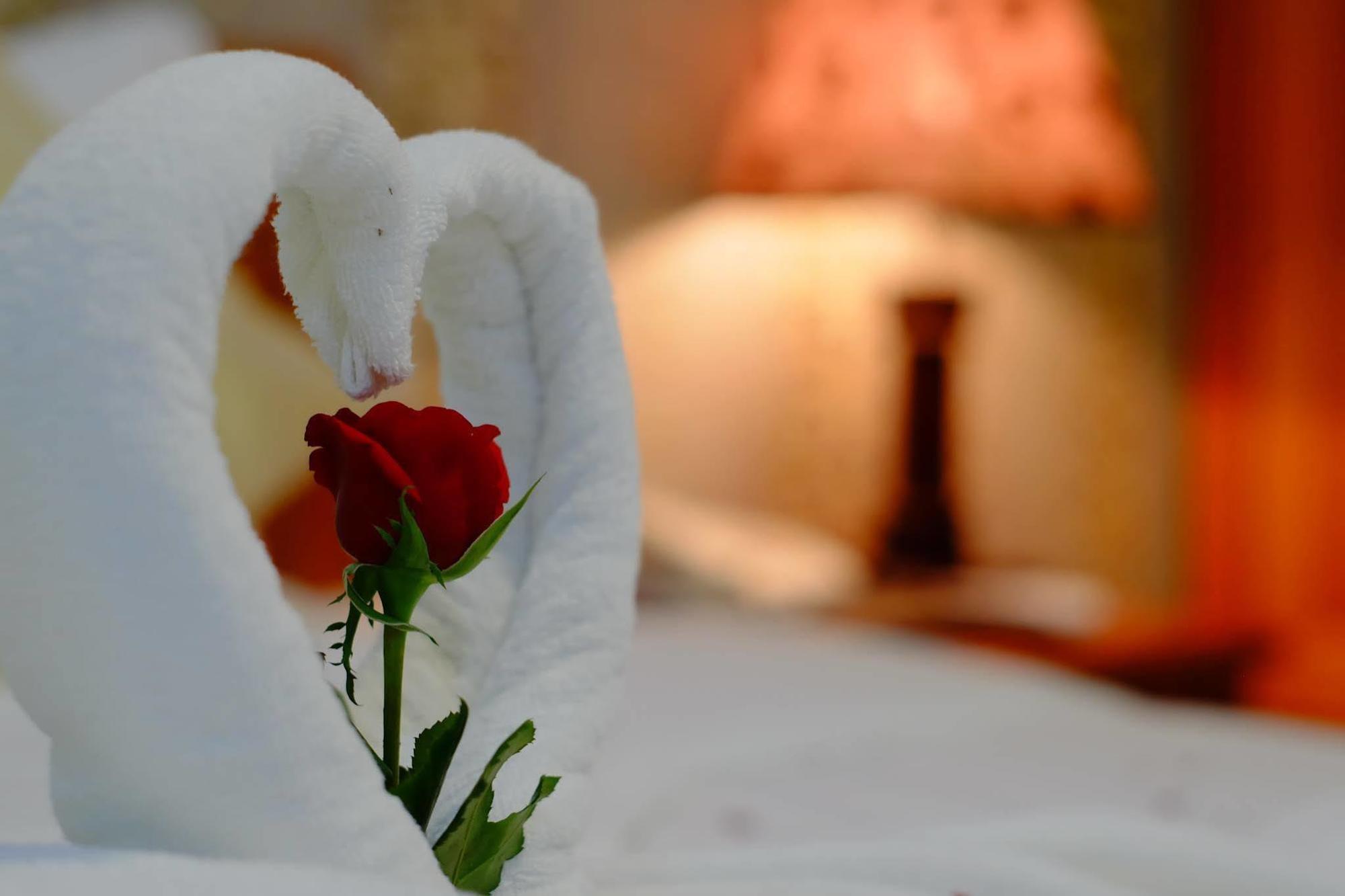 Thanh Hoang Chau Boutique Hotel Da Nang Eksteriør billede