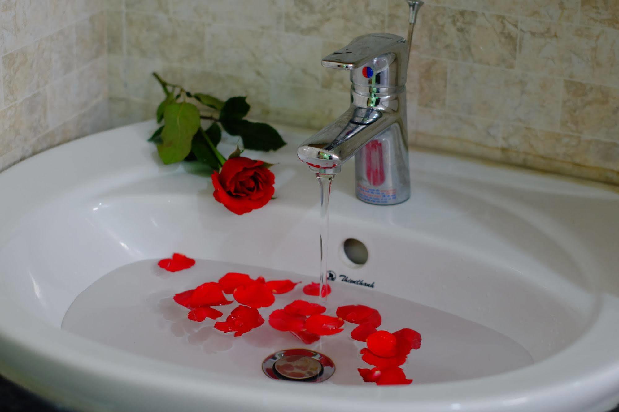 Thanh Hoang Chau Boutique Hotel Da Nang Eksteriør billede